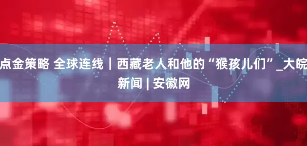 点金策略 全球连线｜西藏老人和他的“猴孩儿们”_大皖新闻 | 安徽网