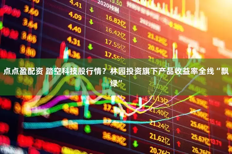 点点盈配资 踏空科技股行情？林园投资旗下产品收益率全线“飘绿”